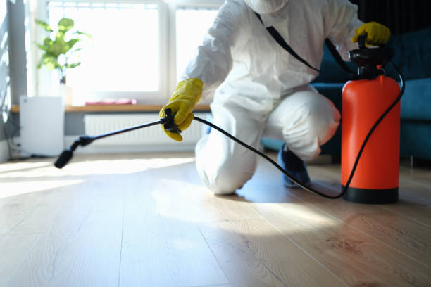 Reliable Sewage Cleanup contractor in Friend, NE by Trauma Clean Pros